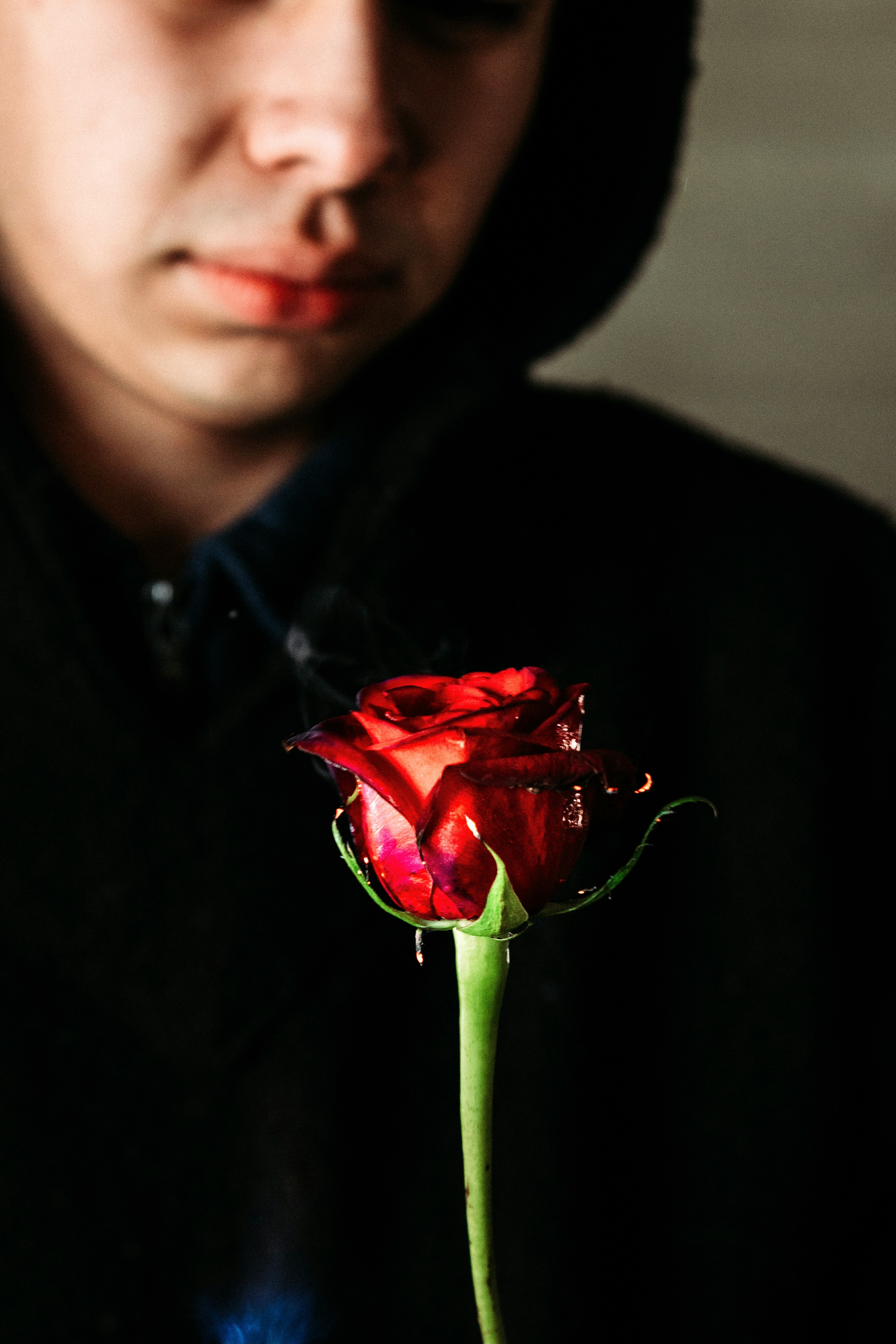 woman in black hoodie holding red rose